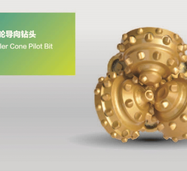 Roller cone pilot bit